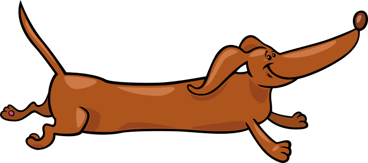 a german shepherd puppy