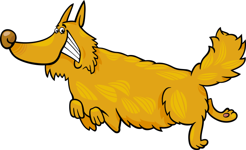 a german shepherd puppy