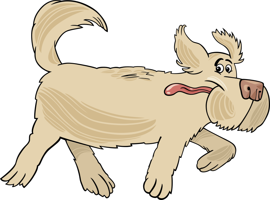 a german shepherd puppy